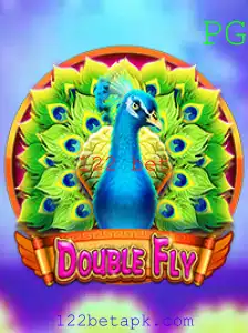 Descubra o Fascinante Mundo de DoubleFly e a Estratégia 122 Bet